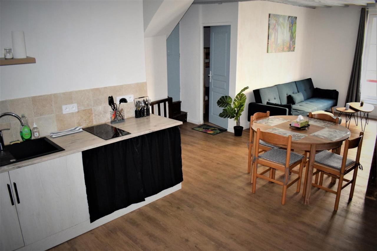 Gite Le Nid Des Zoo Zio, 5Mn Beauval, Appartement Terrasse Centre-Ville แซ็ง-เตญ็อง ภายนอก รูปภาพ