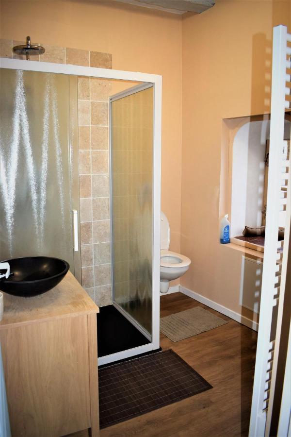 Gite Le Nid Des Zoo Zio, 5Mn Beauval, Appartement Terrasse Centre-Ville แซ็ง-เตญ็อง ภายนอก รูปภาพ